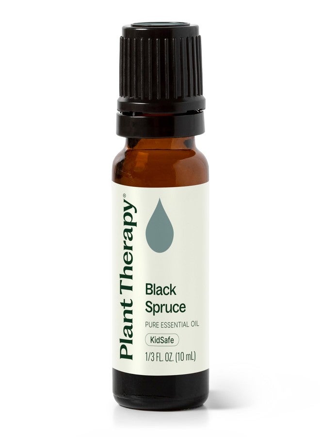 Plant Therapy Black Spruce Essential Oil 10 mL (1/3 oz) 100% Pure, Undiluted, Therapeutic Grade - Image 1